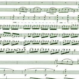 Concierto de Navidad del CPM Adolfo Salazar