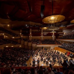 I Concierto Universitario de Año Nuevo. Universidad Internacional de La Rioja / Universidad Villanueva