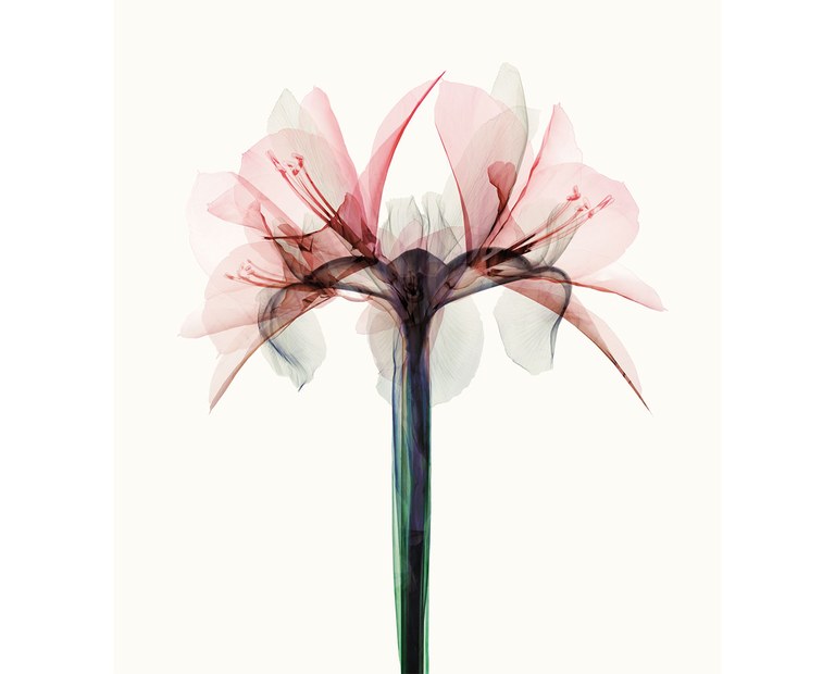 ORCAM. Ciclo Sinfónico VII.