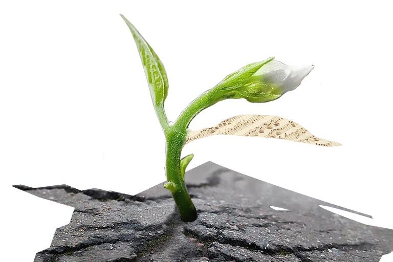 UAM. Orquesta Sinfónica de RTVE & Miguel Romea & Judith Jáuregui. Acento español.